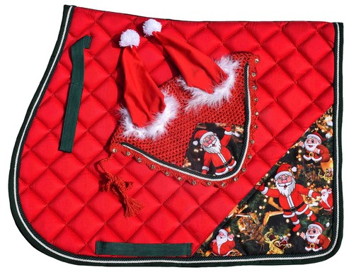 Santa claus christmas - santa,
